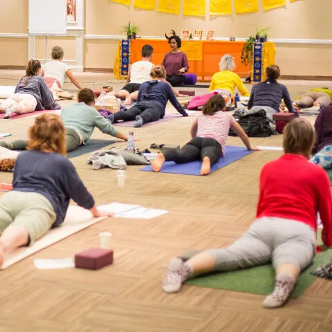 Yoga Group Class